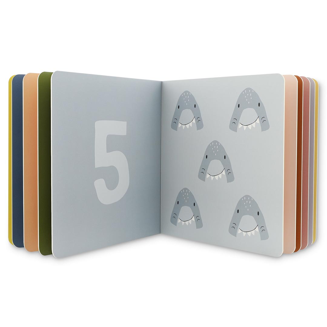 Counting book